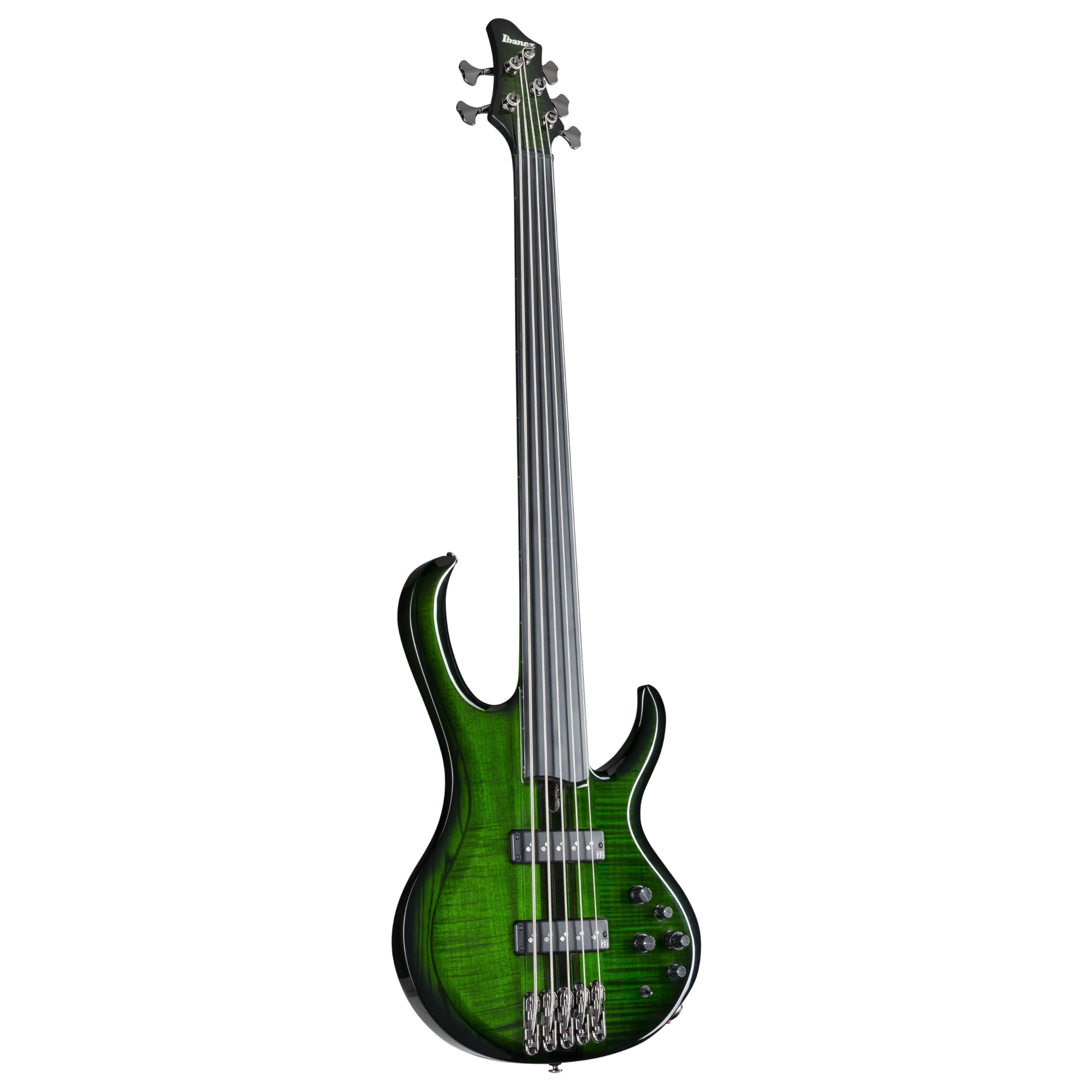 Amazon.com: Ibanez Steve Di Giorgio SDGB1 Signature 5-string